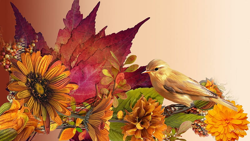 Autumn Cluster, fall, autumn, astor, orange, fragrant, breeze, browns, foliage, chrysanathemum, leaves, amber, season, blooms, mum, cool, bird, bouquet, berries, blossoms, HD wallpaper