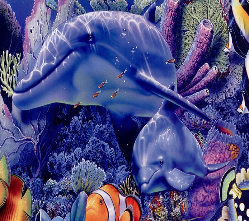 Seaworld, HD wallpaper | Peakpx
