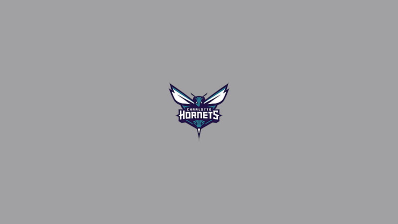 Basketball, Charlotte Hornets, NBA , Basketball , Emblem , Logo, HD wallpaper