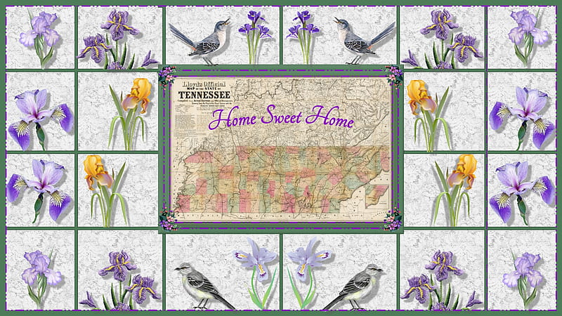 Home Sweet Home, Iris, Tennessee, map, Mockingbird, HD wallpaper