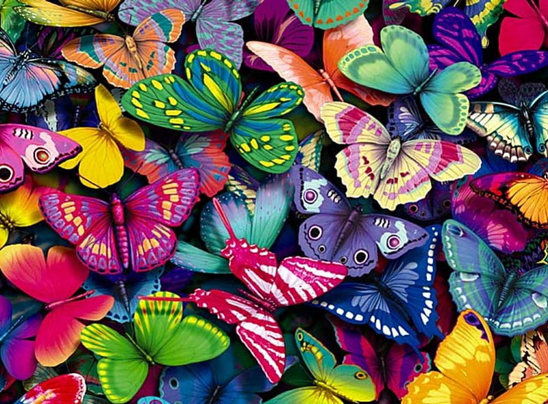 butterflies, colorful, butter, flies, very, HD wallpaper