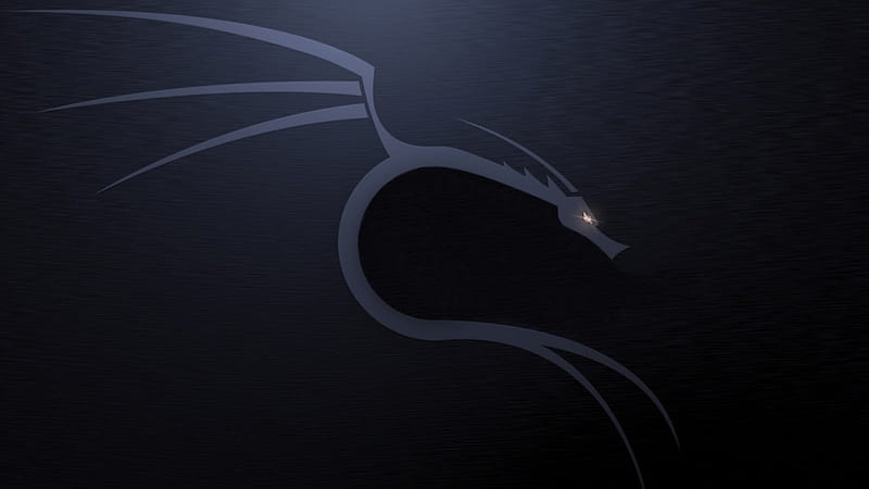 Gray And Black Dragon , Linux, Kali Linux NetHunter • For You, HD wallpaper