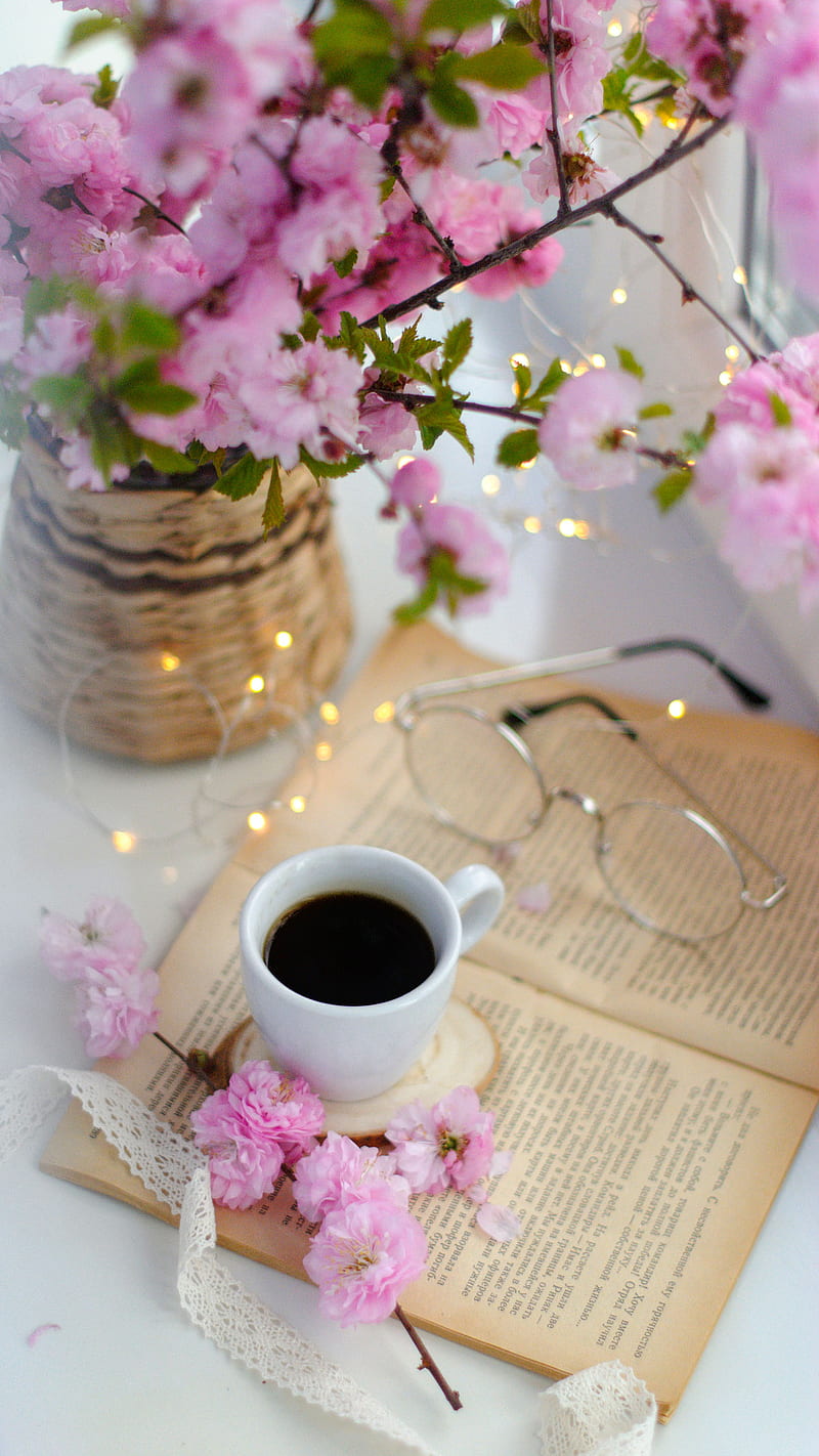 Tea Timey, love, flower, good, good mornig, good morning, handsome ...