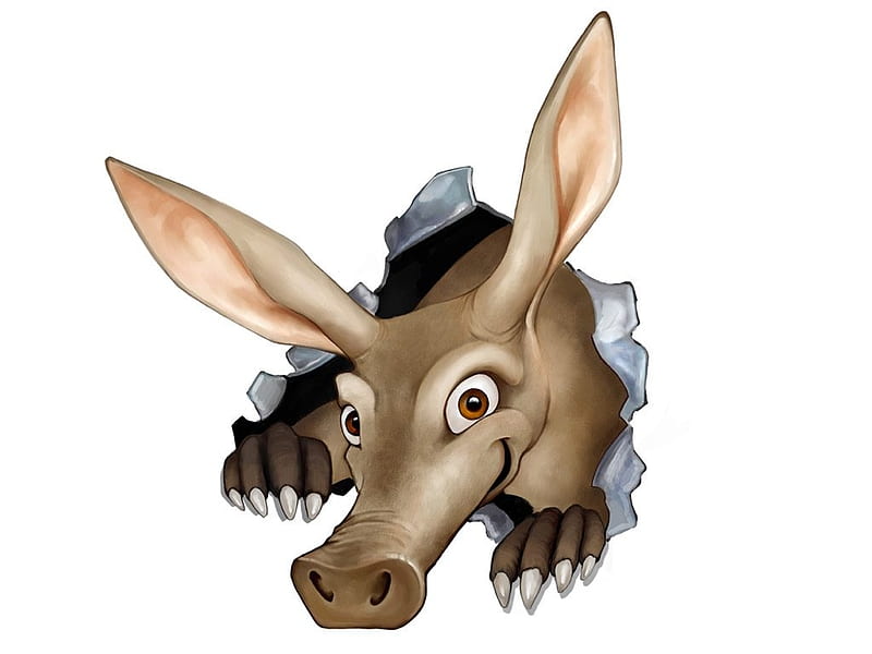 aardvark, ears, snout, animal, HD wallpaper