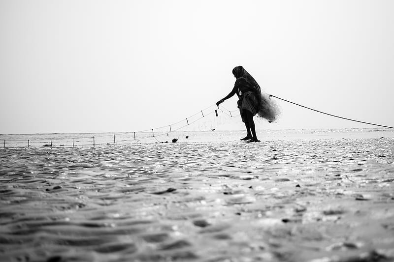 stock of beach, black and white, black and white graphy, HD wallpaper
