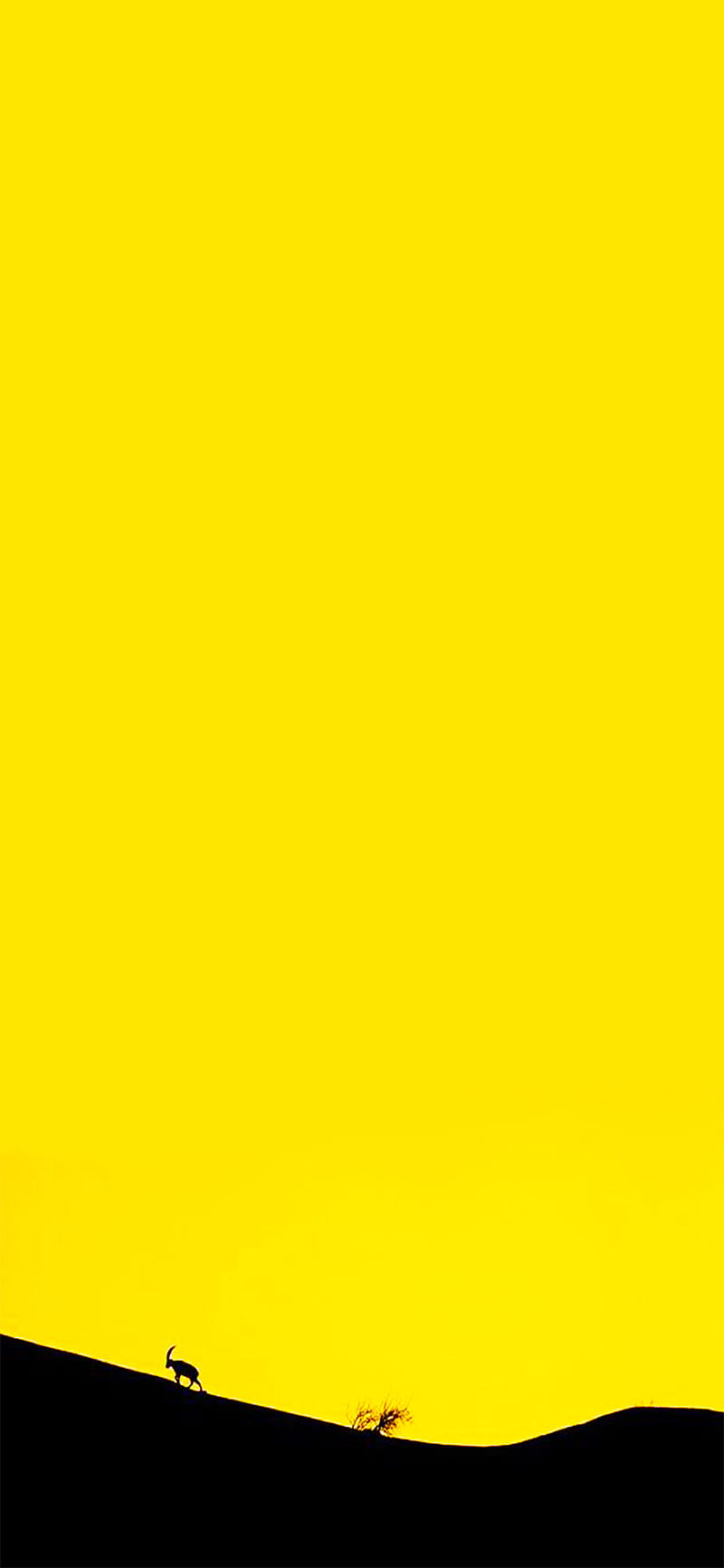 Yellowy , black, iphone, love, nature, pubg, yellow, HD phone wallpaper