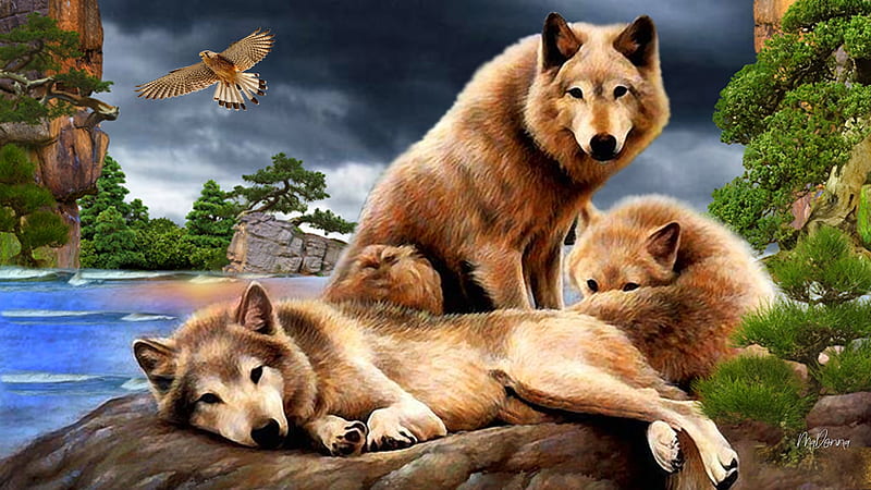 Wolves & Hawk, Firefox theme, family, rocks, lobo, trees, loup, lake, wild, mountains, hawk, wolves, HD wallpaper