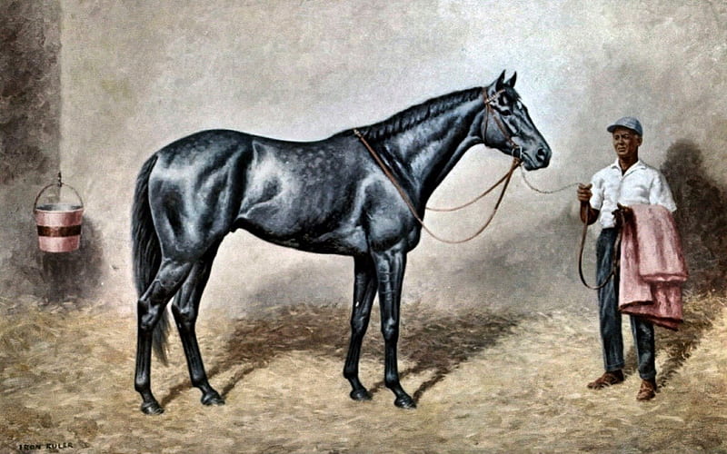 Iron Ruler - Horse 2, art, thoroughbred, equine, horse, iron ruler, artwork, animal, stallion, painting, wide screen, thorobred, HD wallpaper
