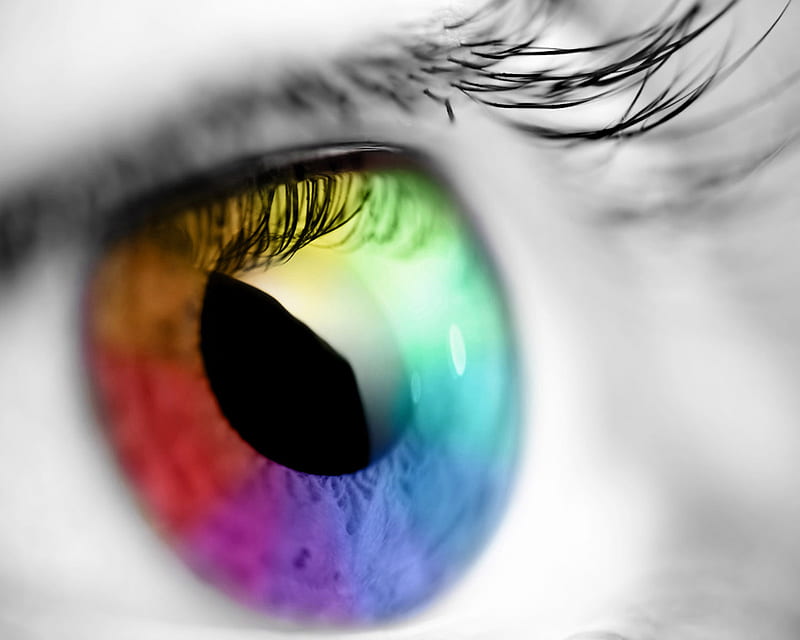 Eye, color, HD wallpaper