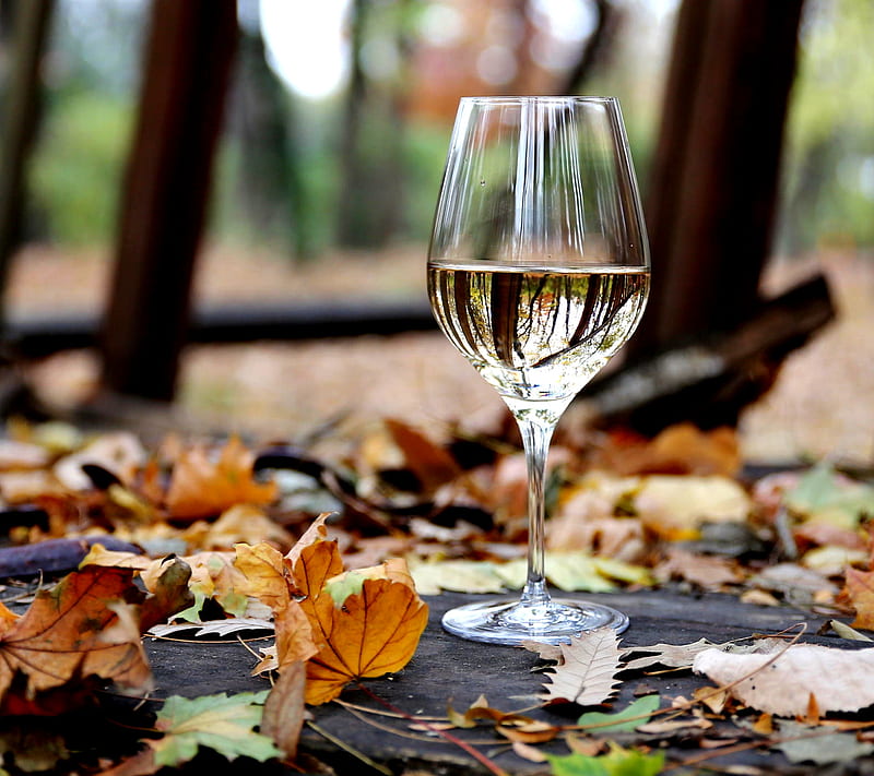 Autumn Wine, HD wallpaper