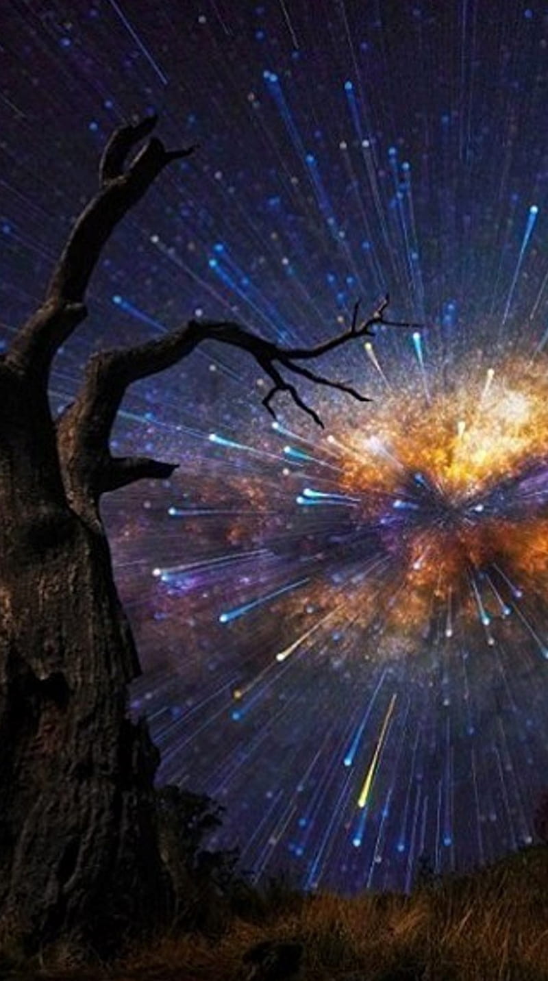 Stars, force, nature, tree, HD phone wallpaper