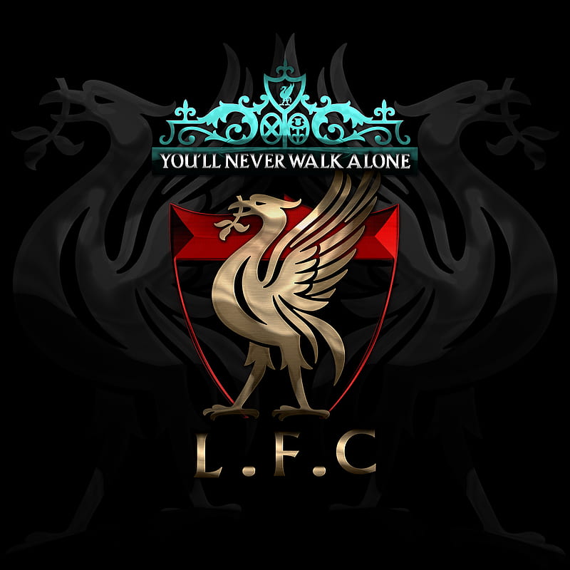 Liverpool FC YNWA, anfield, england, epl liver, reds, warrior, HD phone wallpaper