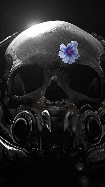 Blue Fire Skull Live Wallpaper APK Download 2023  Free  9Apps