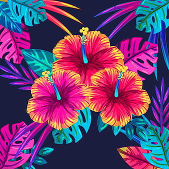 HD beautiful hawaiian flowers. wallpapers | Peakpx