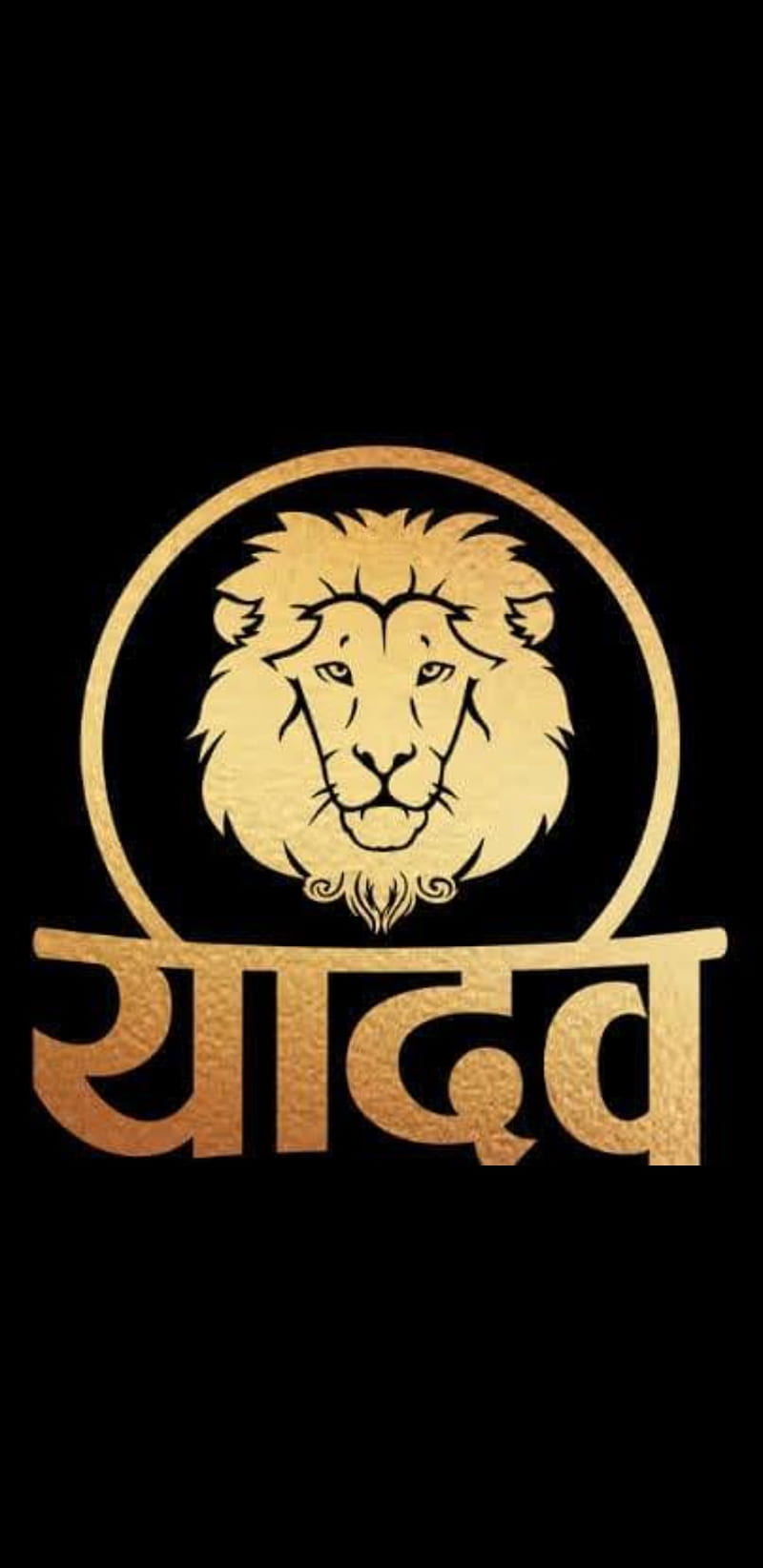 Swelling pride of Gujarat: Has numbers of lions crossed 1,000-mark? |  Ahmedabad News - Times of India