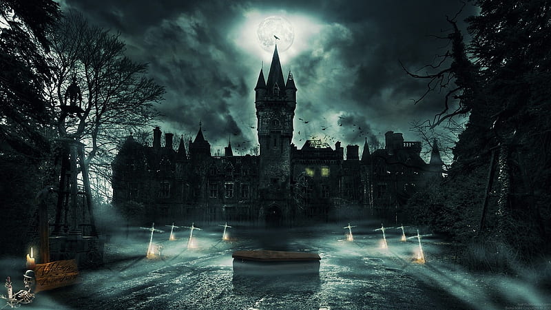 Haunted Castle, Coffin, Sign, Skeleton, Castle, HD Wallpaper Peakpx ...