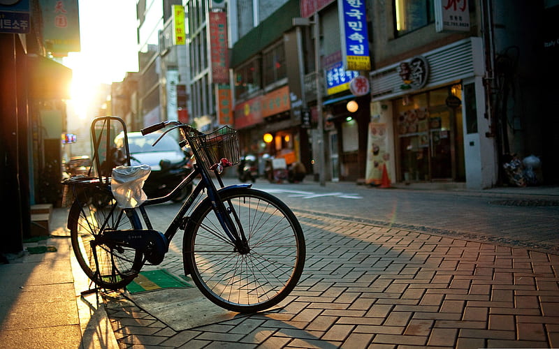 bicycle-The urban landscape graphy, HD wallpaper