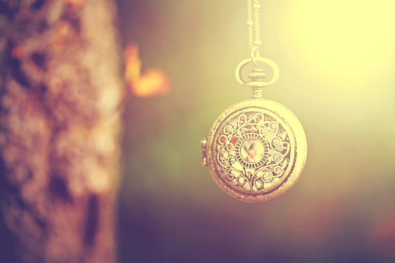 time will tell, graphy, time, beauty, stillllife, stopwatch, HD wallpaper