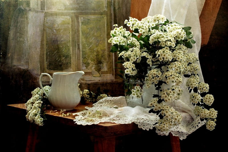 Purity, white pitcher, table, white fabric, window, white flowers, spirea, drape, still life, flowers, chair, HD wallpaper