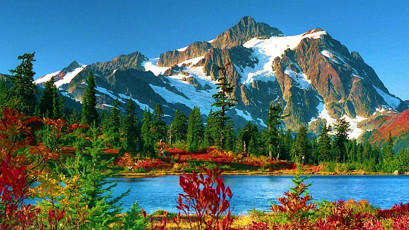 Mount Baker, Snoqualmie National Forest, autumn, leaves, washington, trees, lake, HD wallpaper