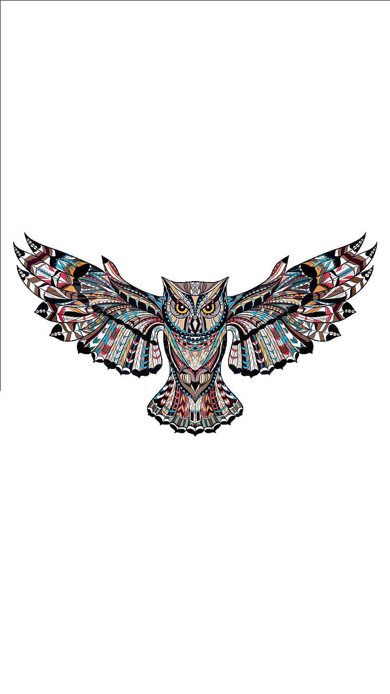 Mandala owl, nature, rapacious, HD phone wallpaper