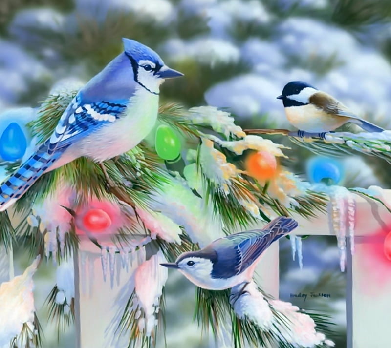 christmas time, birds, merry christmas, snow, winter, xmas, HD wallpaper