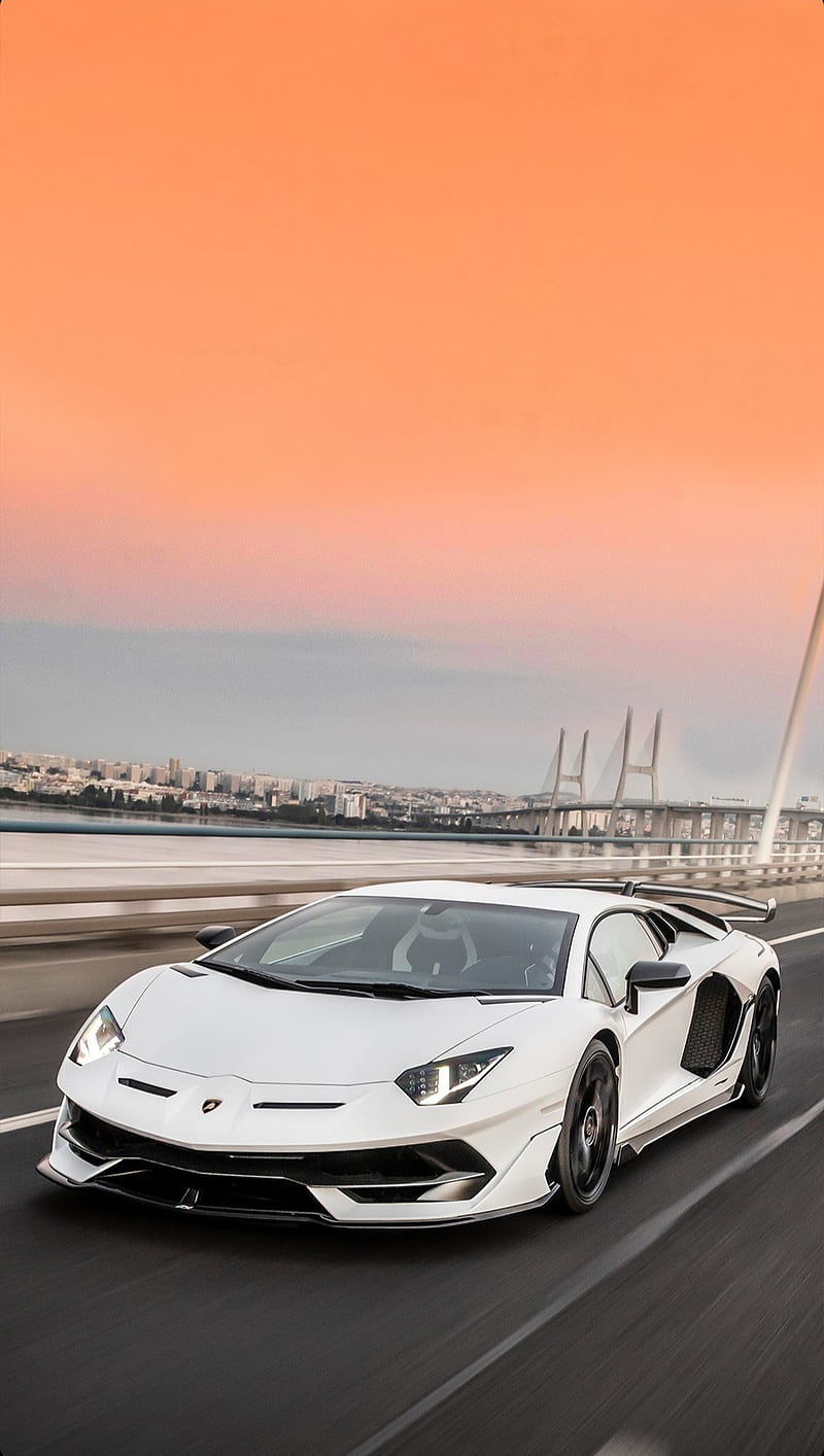 Lamborghini, aventador, cool, gold, lambo, mustang, mustangs, skyline, sports car, white car, HD phone wallpaper