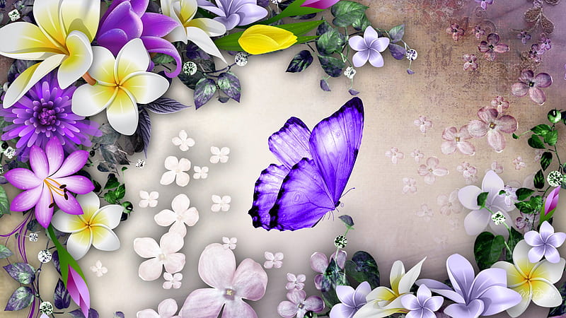 Flowers to Celebrate, plumeria, spring, lavender, leaves, frangipani, butterfly, purple, bright, summer, vines, nature, HD wallpaper