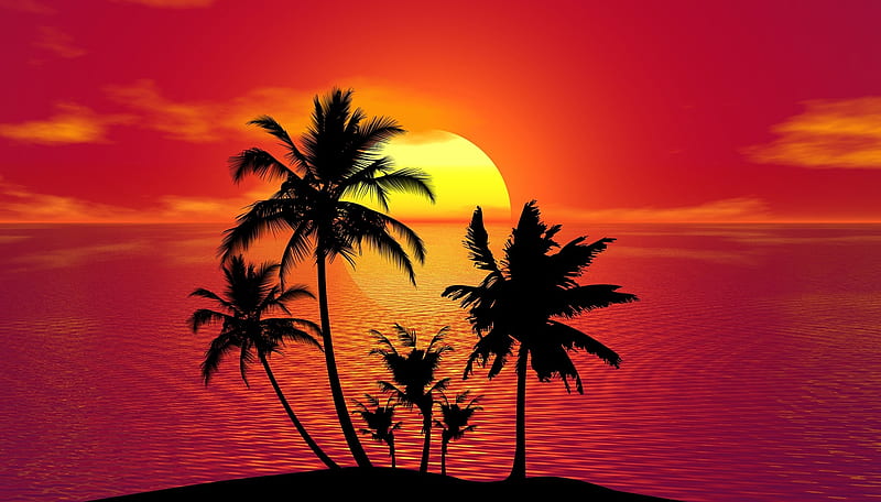 Top 999+ Beach Sunset Wallpaper Full HD, 4K✓Free to Use