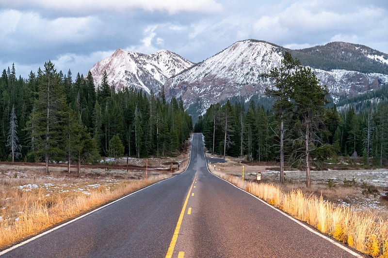 Road, Mountains, Forest, Trees, Landscape, Hd Wallpaper 