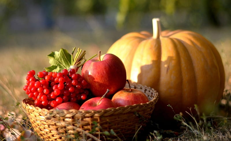 Fruits and vegetables togrther, autumn, food, vegetables, basket, HD wallpaper