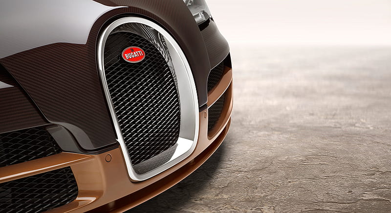 2014 Bugatti Veyron "Rembrandt Bugatti" - Grill , car, HD wallpaper