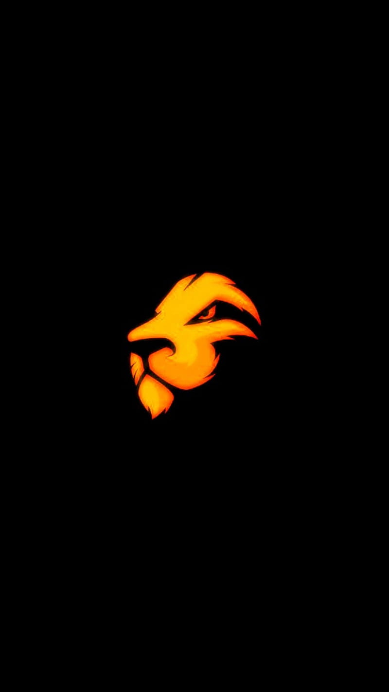 Lion, black, leo, orange, HD phone wallpaper | Peakpx