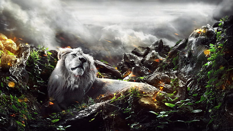 Jungle Lion Creative, jungle, lion, king, creative, HD wallpaper