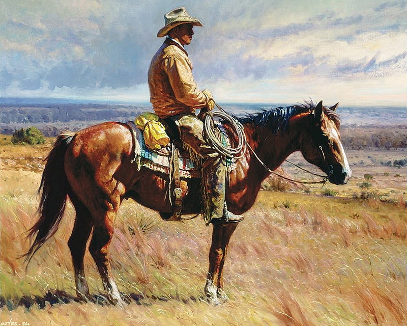 Cowboy on the Range, Reins, Jacket, Range, Cowboy, Hat, Tall Grass, Spurs, Lasso, Saddle, Mountains, Horse, Chaps, HD wallpaper