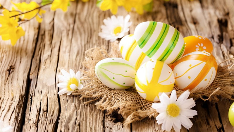 Easter Eggs On Wooden Surface, HD wallpaper