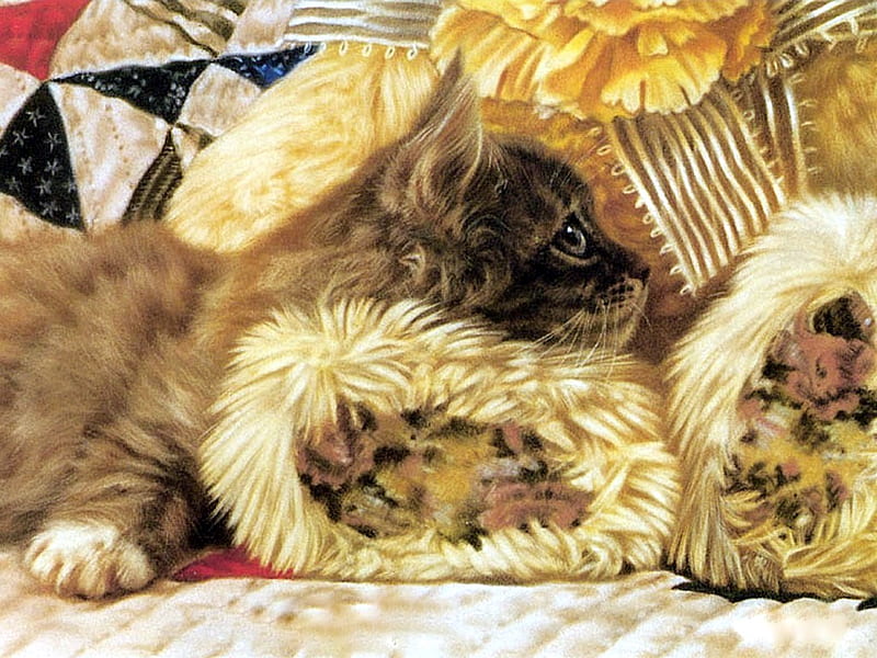 Cosy Kitten, nestling, art, cosy, teddy bear, cat, kitten, HD wallpaper