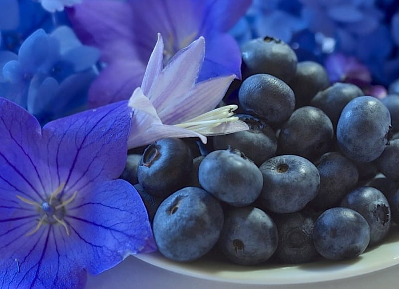 flores y frutas *, fresco, suave, fruta, ternura, sabroso, higo, flores,  pétalos, Fondo de pantalla HD | Peakpx