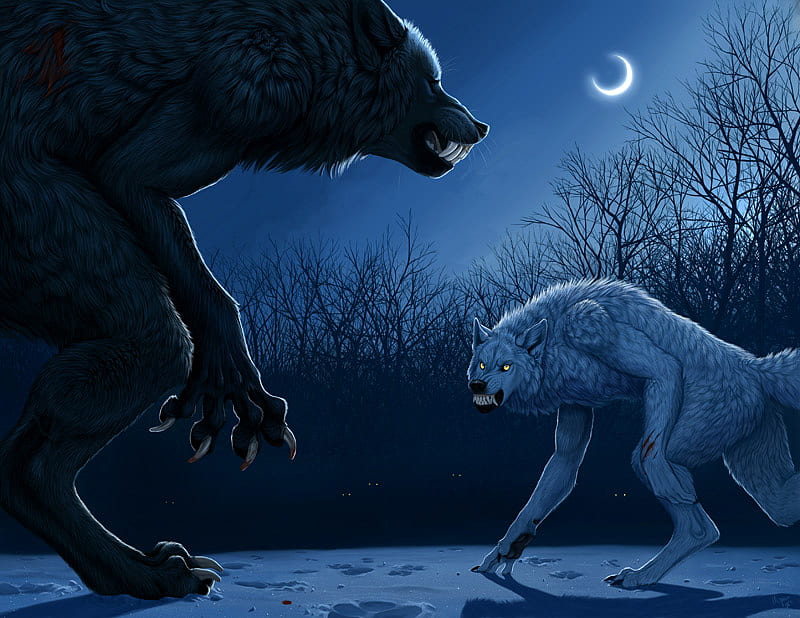 the werewolf fight!, fight, wolves, werewolves, scares, HD wallpaper