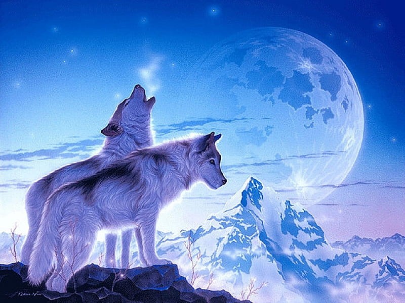 ★Song of Dawn★, family, holidays, digital art, xmas and new year, paintings, landscapes, scenery, drawings, animals, colors, love four seasons, song of dawn, creative pre-made, winter, cool, purple, snow, mountains, wolves, beloved valentines, HD wallpaper