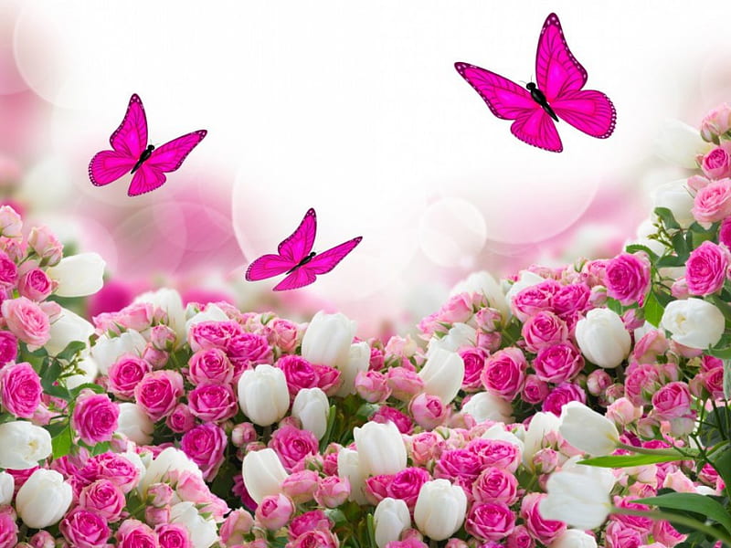 Flores y mariposas, arte, flores, mariposas, rosa, Fondo de pantalla HD |  Peakpx