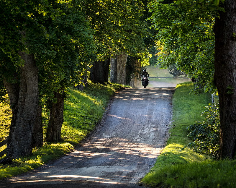 Ride, Country Road, Trees, Summer Ultra, Seasons, Summer, Travel, bonito, Tree, Road, Speed, Sweden, Dust, Outdoor, Motorcycle, canon, skane, skanelan, 100400mm, scandinavia, dirtroad, canonef100400mmf4556lisiiusm, f4556l, canoneos5dsr, ChristinehofCastle, Osterlen, Tomelilla, HD wallpaper