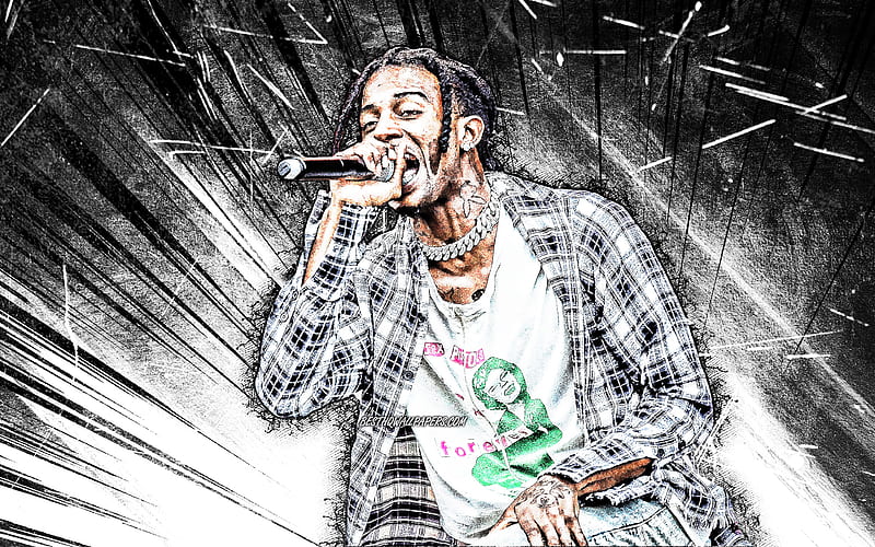 Playboi Carti, grunge art, american rapper, music stars, Playboi Carti with microphone, white abstract rays, Jordan Terrell Carter, american celebrity, Playboi Carti, HD wallpaper