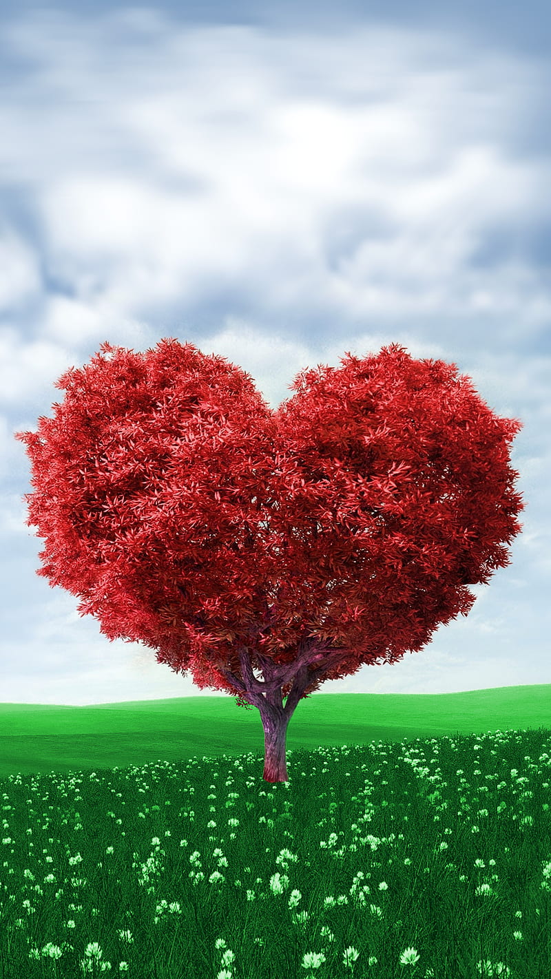 tree heart, amour, coeur, heart, love, tree, HD phone wallpaper