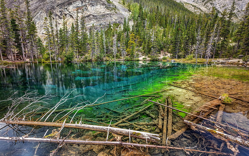 Grassi Lakes, Canadian Rockies, emerald lake, mountain lake, mountain landscape, forest, trees in the water, Alberta, Canada, Canmore Nordic Centre Provincial Park, HD wallpaper