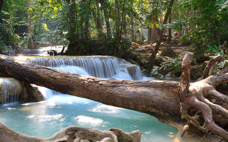 waterfalls, river, rainforest, wildlife, blue water, Thailand, tourism, HD wallpaper