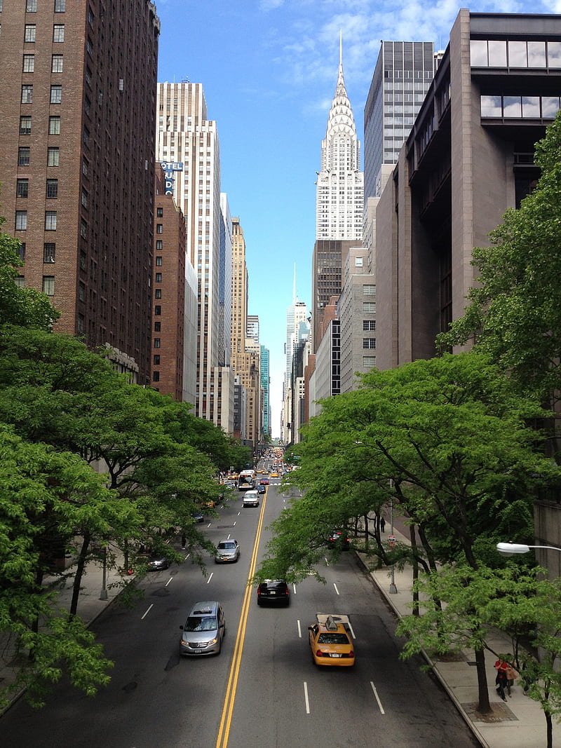 New York Street, autumn, central, city, new york, park, HD phone wallpaper