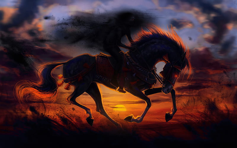 horse, field, wildlife, sunset, art, HD wallpaper