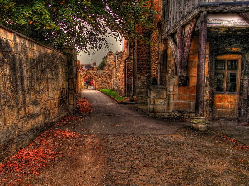 Autumn pathway., fall, autumn, pathway house, wall, HD wallpaper