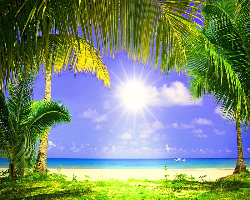 Tropical Paradise, beach sun sky, nature paradise, HD wallpaper | Peakpx